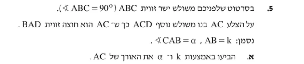 סעיף א בשאלון המקורי